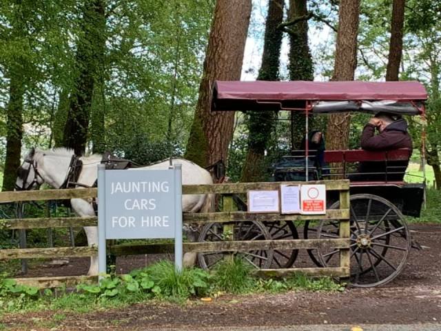 Ireland Trip Killarney National Park Jaunting Cars