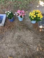 steve's grave site aug 2019